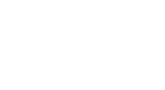 principle-dell