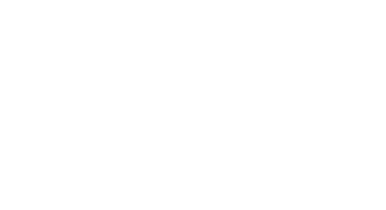 software-ni