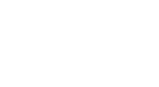 informatica