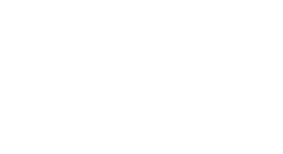 FIRST DV